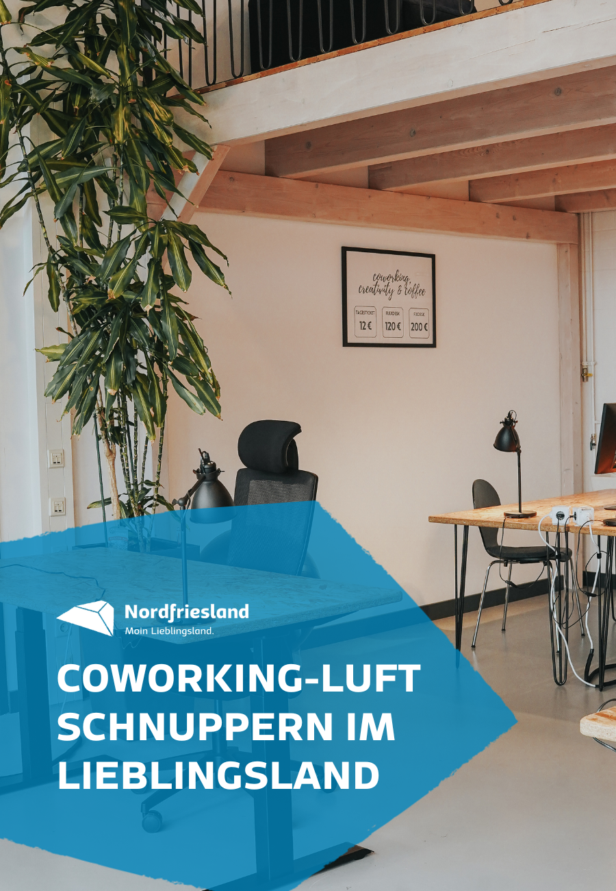 Coworking_Beitrag_Bild in Text_900x1300